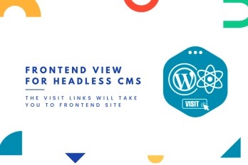 Frontend View For Headless CMS